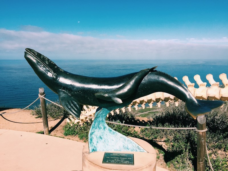 Whale Sculpture